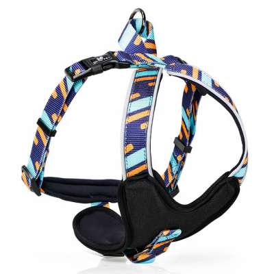 Adjustable Easy Walk Pet Collar No Pull Harness Fashion  Rainbow Pet Leash Produits pour animaux familiers